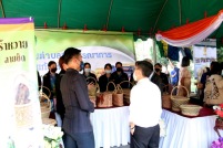 IMG_9734_resize