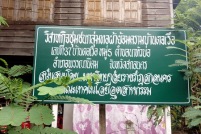 M20220701_131033_resize