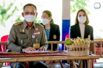 LINE_ALBUM_องคมนตรี_-191_resize