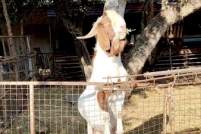 LINE_ALBUM_2026.1.14_260114_49