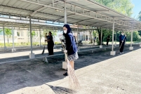 S__135733263_0