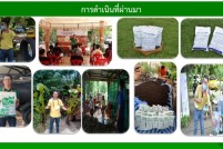 สไลด์17
