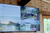 LINE_ALBUM_ดูงาน-วัวดอยวากิว_260428_19