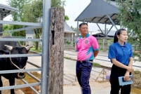 LINE_ALBUM_ดูงาน-วัวดอยวากิว_260428_197