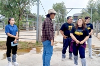 LINE_ALBUM_ดูงาน-วัวดอยวากิว_260428_202