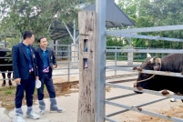 LINE_ALBUM_ดูงาน-วัวดอยวากิว_260428_203