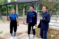 LINE_ALBUM_ดูงาน-วัวดอยวากิว_260428_219