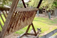 LINE_ALBUM_ดูงาน-วัวดอยวากิว_260428_227