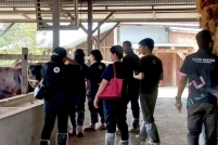 LINE_ALBUM_ดูงาน-วัวดอยวากิว_260428_237