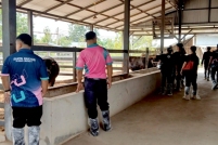 LINE_ALBUM_ดูงาน-วัวดอยวากิว_260428_238