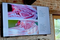 LINE_ALBUM_ดูงาน-วัวดอยวากิว_260428_25