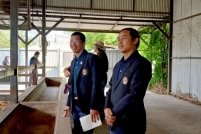 LINE_ALBUM_ดูงาน-วัวดอยวากิว_260428_250