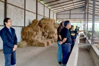 LINE_ALBUM_ดูงาน-วัวดอยวากิว_260428_252