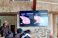 LINE_ALBUM_ดูงาน-วัวดอยวากิว_260428_26