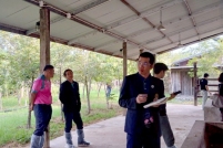 LINE_ALBUM_ดูงาน-วัวดอยวากิว_260428_265