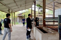 LINE_ALBUM_ดูงาน-วัวดอยวากิว_260428_268