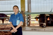 LINE_ALBUM_ดูงาน-วัวดอยวากิว_260428_275