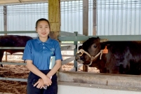 LINE_ALBUM_ดูงาน-วัวดอยวากิว_260428_276