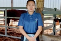 LINE_ALBUM_ดูงาน-วัวดอยวากิว_260428_277