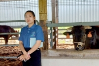 LINE_ALBUM_ดูงาน-วัวดอยวากิว_260428_278