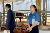 LINE_ALBUM_ดูงาน-วัวดอยวากิว_260428_279