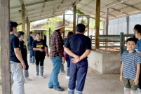 LINE_ALBUM_ดูงาน-วัวดอยวากิว_260428_281