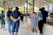 LINE_ALBUM_ดูงาน-วัวดอยวากิว_260428_283