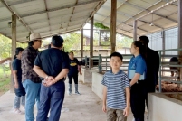 LINE_ALBUM_ดูงาน-วัวดอยวากิว_260428_286