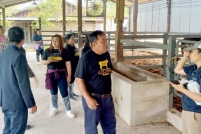 LINE_ALBUM_ดูงาน-วัวดอยวากิว_260428_294