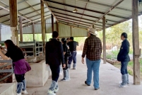 LINE_ALBUM_ดูงาน-วัวดอยวากิว_260428_296