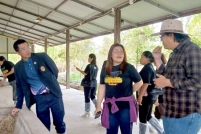 LINE_ALBUM_ดูงาน-วัวดอยวากิว_260428_300