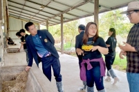 LINE_ALBUM_ดูงาน-วัวดอยวากิว_260428_305