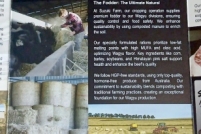 LINE_ALBUM_ดูงาน-วัวดอยวากิว_260428_4