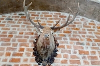 LINE_ALBUM_ดูงาน-วัวดอยวากิว_260428_94