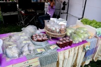 IMG_3911_resize