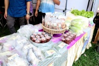IMG_3920_resize