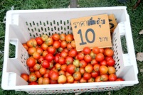 IMG_3940_resize