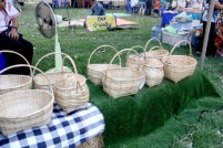 IMG_3946_resize