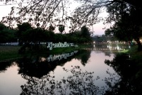 IMG_4038_resize