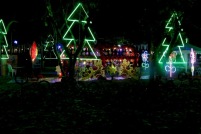 IMG_4256_resize