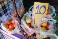 LINE_ALBUM_งานกาชาดวันที่สอง26022022_๒๒๐๒๒๘_60