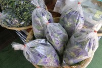 LINE_ALBUM_งานกาชาดวันที่สอง26022022_๒๒๐๒๒๘_65