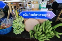 LINE_ALBUM_งานกาชาดวันที่สอง26022022_๒๒๐๒๒๘_92